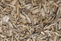 biomass boilers Coshandrochaid