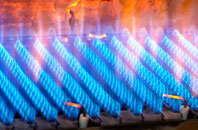 Coshandrochaid gas fired boilers